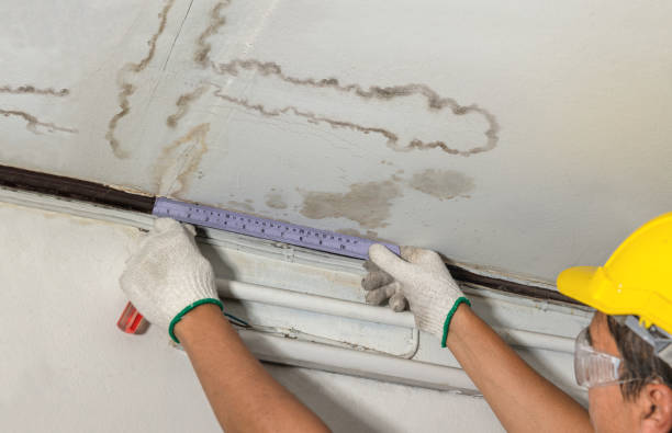 Reliable Water Damage Repair contractor in Masontown, WV by Hirex Water Damage